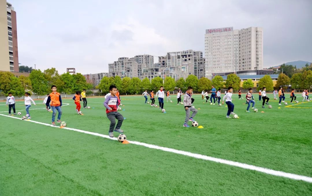  足球特色小镇落成，体旅融合激活经济  